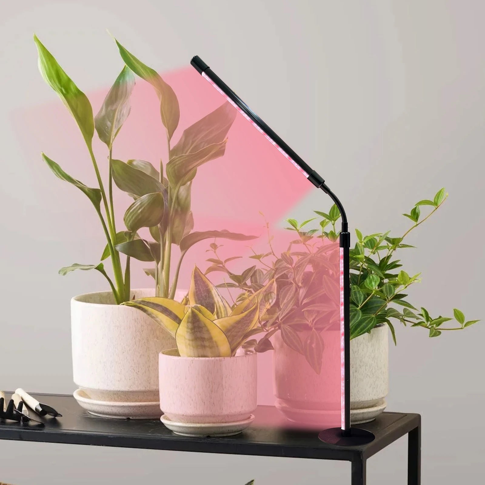 Lampe LED de Croissance pour Plantes – Éclairage Optimal à 360°